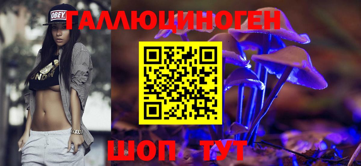 Галлюциногенные грибы ЛСД  Вход с VPN  Шатура  Псилоцибиновые грибы ЛСД 